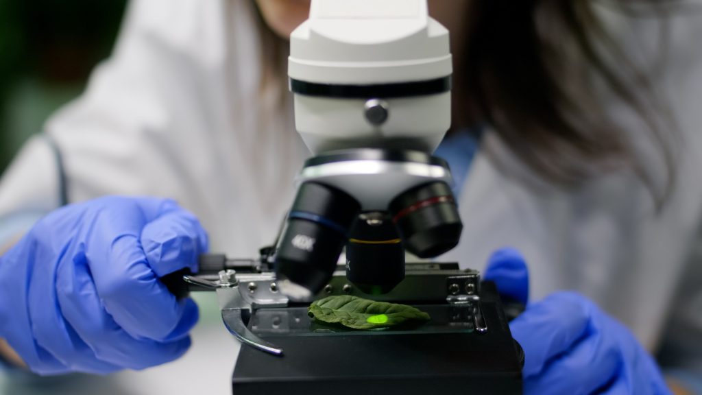 B.Sc. in Biotechnology at Parul University Goa